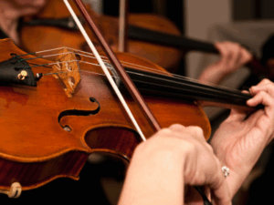 Violin-Class